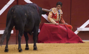 (Foto: Javier Arroyo)