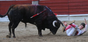 (Foto: Julián López)