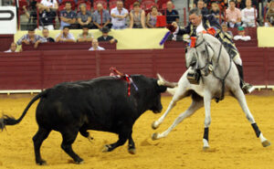 Joao Moura, fiel al clasicismo. (Foto: Joao Silva)