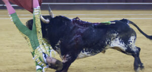 (Foto: Joaquín Bueno)