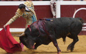 (Foto: Javier Arroyo)