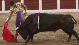 (Foto: Javier Arroyo)