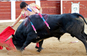 (Foto: Guillermo Lorente)