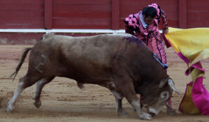 (Foto: José A. de la Torre)