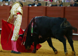 (Foto: González Arjona)