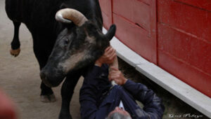 (Foto: Guz Pelayo / suertematador.com)