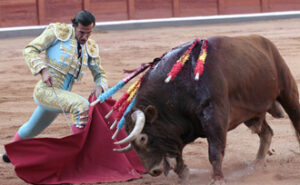 (Foto: Carlos Perelétegui)