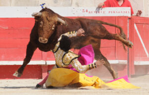 (Foto: Isabel Dupin)