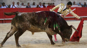 (Foto: Roland Costedoat)