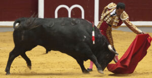 (Foto: Javier Arroyo)