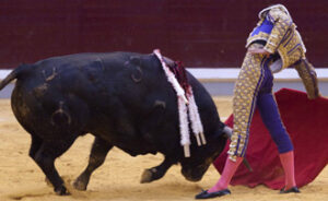 (Foto: Javier Arroyo)