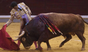 (Foto: Javier Arroyo)