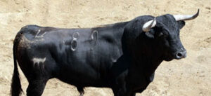 (Foto: www.plazadetorosdelamaestranza.com)