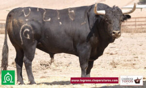 Toro de Fuente Ymbro (Foto: Choperatoros.com)