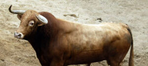 (Foto: www.lamaestranza.es )