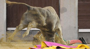 (Foto: Julián López)