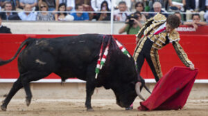 (Foto: Javier Arroyo)