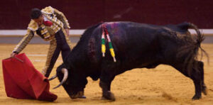 (Foto: Javier Arroyo)