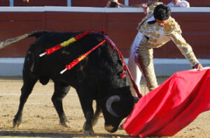 (Foto: Álvaro Blanco)