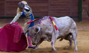 (Foto: Javier Arroyo)