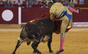 (Foto: Javier Arroyo)