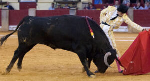 (Foto: Javier Arroyo)