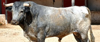 (Foto: lamexico.com)