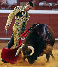 El Fandi: “Es una pena que no quieran ver mi evolución”