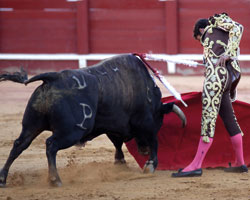 Juan Pablo Sánchez: “El torero que quiero ser aún está lejos”