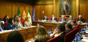Pleno de la Diputación de Almería