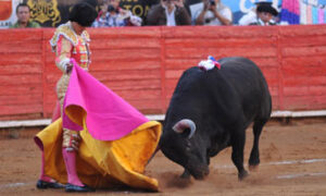 (Foto: Tadeo Alcina)