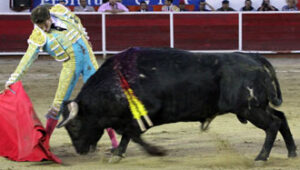 (Foto: Emilio Méndez)