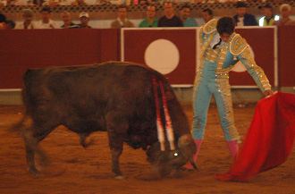 Sebastián Castella: “Hoy he triunfado como Dios manda”