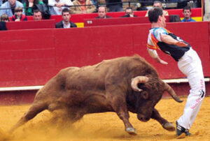 (Foto: Bous al carrer)