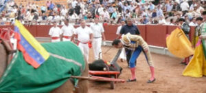 El Cid, acariciando al toro que recibe el premio de la vuelta al ruedo. (Foto: Venezuelataurina.com)