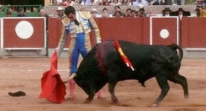 El Cid, toreando sobre la diestra. (Foto: Venezuelataurina.com)