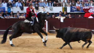 (Foto: Luis Ramírez)