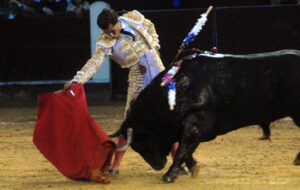 (Foto: Luis Ramírez)