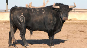 (Foto: Vigueras/torosvalencia.com)