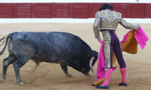 (Foto: Fidel Arroyo)