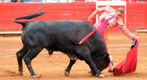 (Foto: Tadeo Alcina)