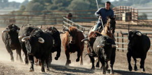 (Foto: González Arjona)