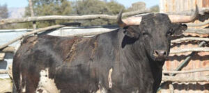 (Foto: Raúl Castro)