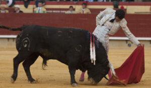 (Foto: Javier Arroyo)