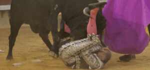 (Foto: Javier Arroyo)