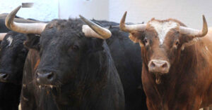 (Foto: Rullot/Torosvalencia.com)