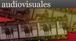 AUDIOVISUALES