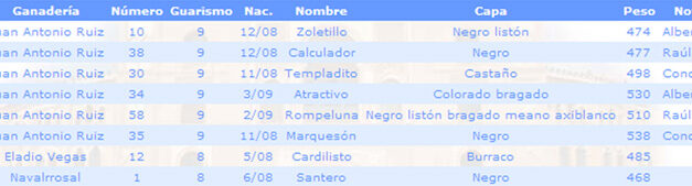 Listos los novillos de Espartaco para esta tarde en Las Ventas