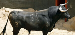 "Puritito", nº 22, cerrará plaza.