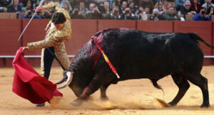 Oliva Soto dejó detalles de su toreo. (Foto: Arjona)